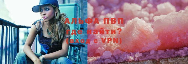 гашик Краснослободск