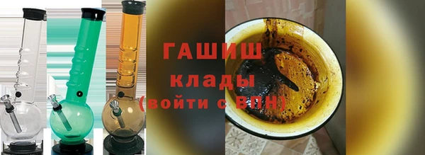 гашик Краснослободск